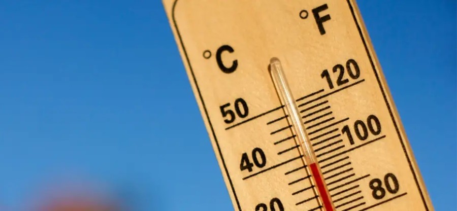 Cuidados para prevenir los golpes de calor.