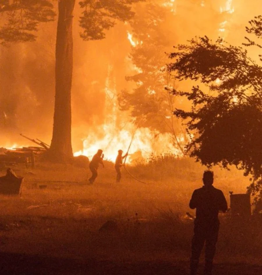 Contin&uacute;an los incendios en la Patagonia.