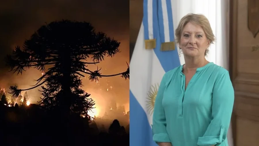 A pesar de la crisis, la Subsecretar&iacute;a de Ambiente ha priorizado la adquisici&oacute;n de materiales para el mantenimiento de sistemas de aire acondicionado.