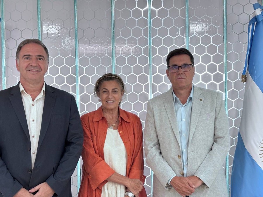 Cada provincia tambi&eacute;n comparti&oacute; los alcances y buenas pr&aacute;cticas implementadas en torno al objetivo de alfabetizaci&oacute;n.