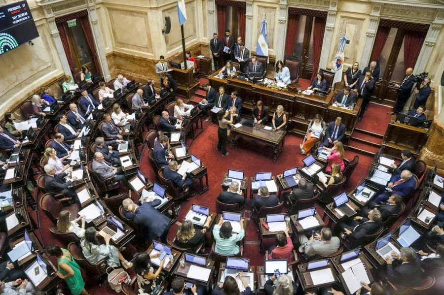 El Senado tratar&aacute; este jueves desde las 12 el proyecto que busca la suspensi&oacute;n de las PASO.