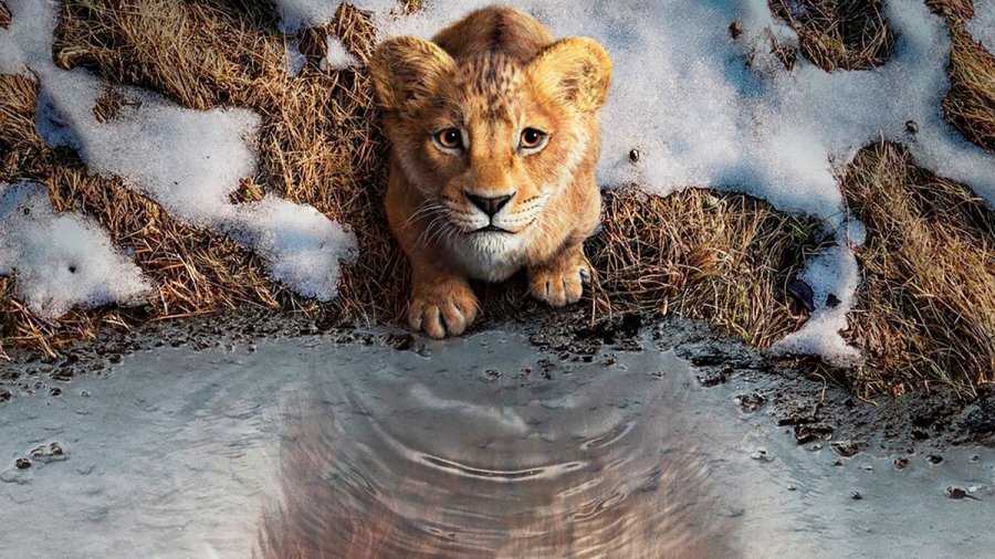 &ldquo;Mufasa: El Rey Le&oacute;n&rdquo;, nueva animaci&oacute;n de Disney.