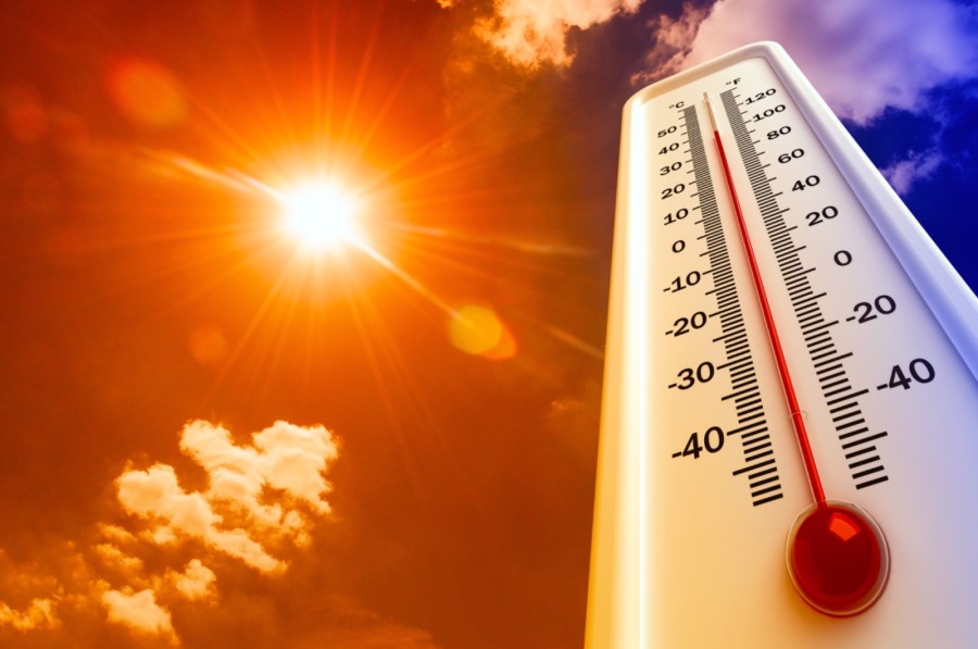 Cuidados para prevenir los golpes de calor.