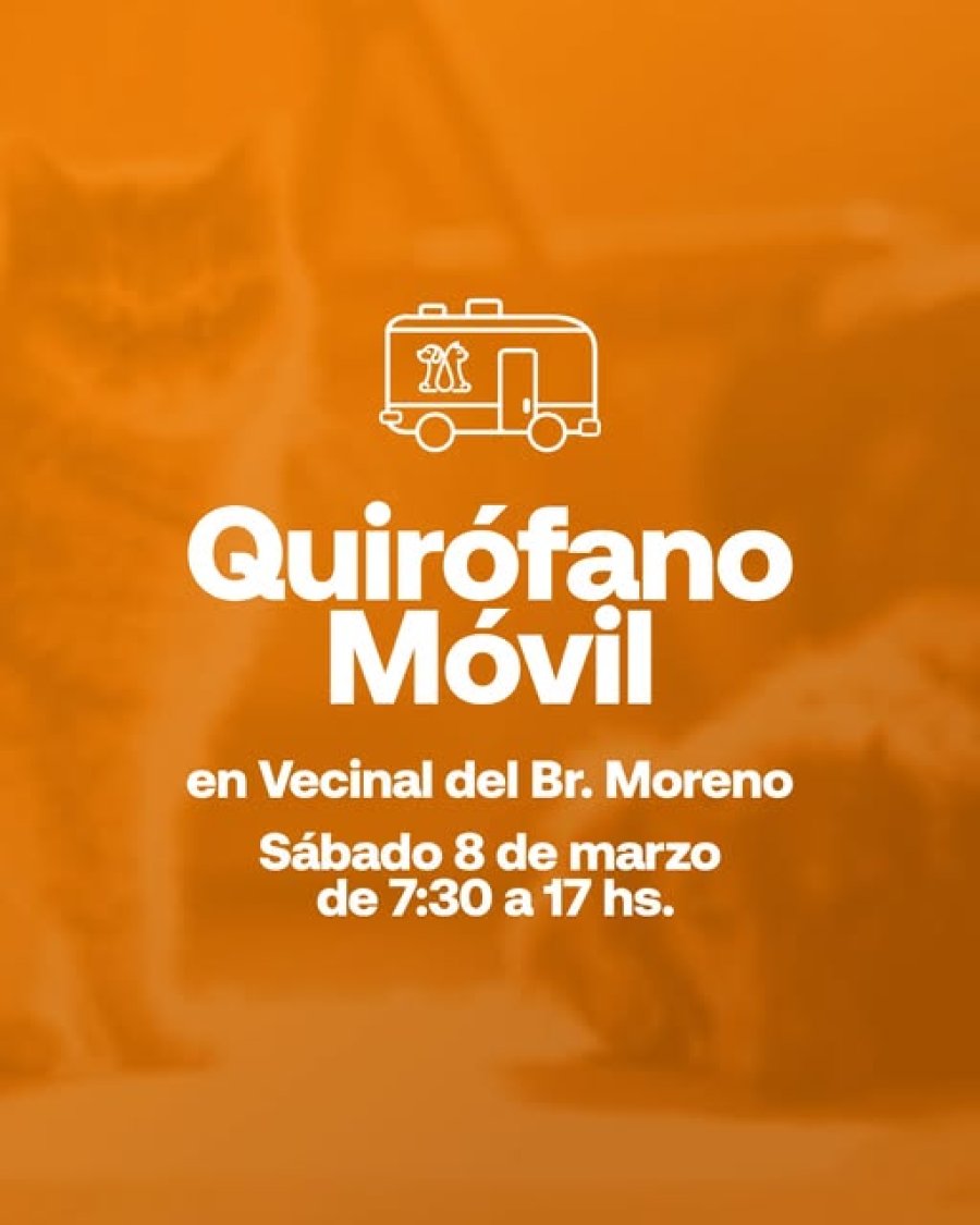 Difusi&oacute;n de la actividad.