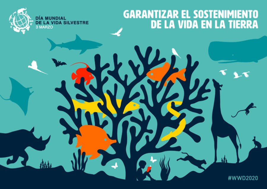 Cartel recordando la efem&eacute;ride en 2020.
