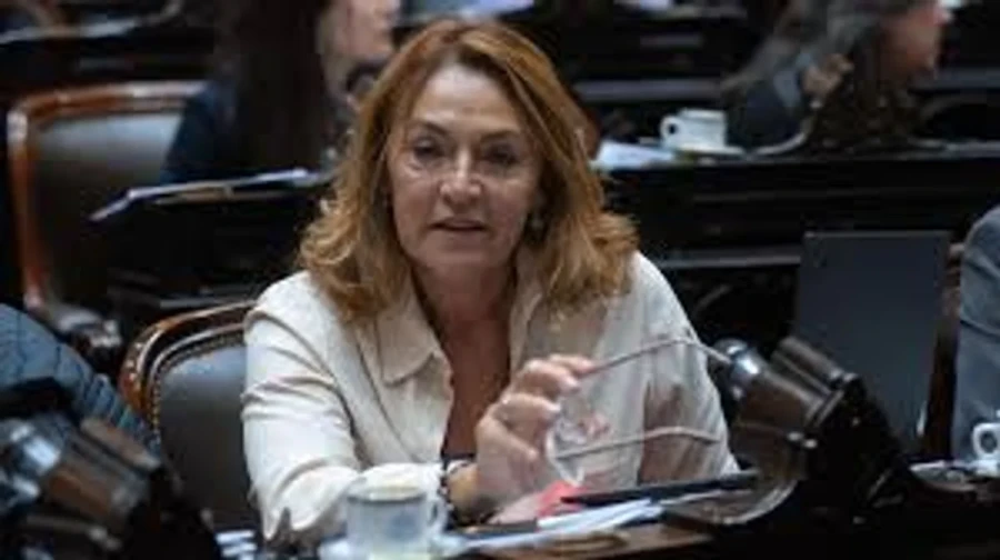 Marcela Campagnoli, diputada nacional por la Coalici&oacute;n C&iacute;vica.