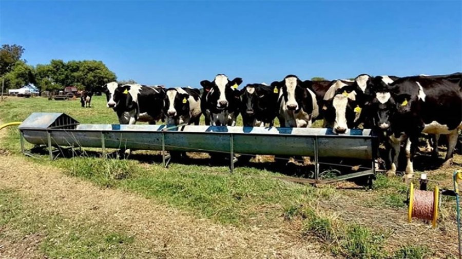PRODUCCI&Oacute;N. En las cuencas pastoriles el verano tuvo un impacto muy fuerte.