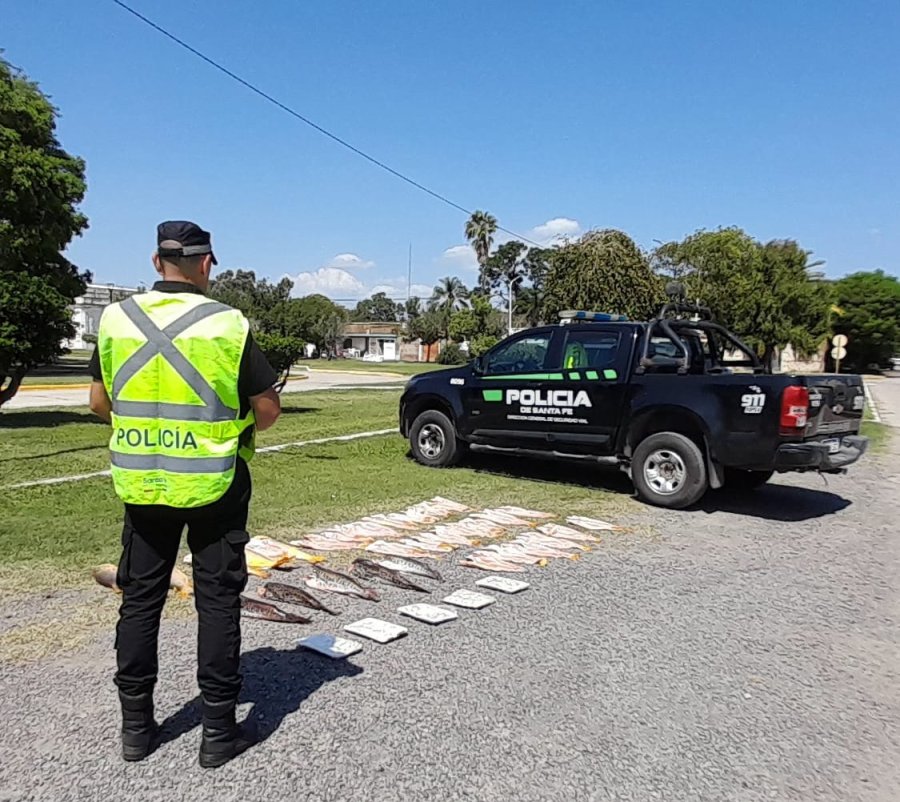 La Polic&iacute;a de Seguridad Vial Unidad Operativa Regional N&deg; 2 (Rafaela) incaut&oacute; especies ict&iacute;colas por infringir la Ley Provincial de Pesca.