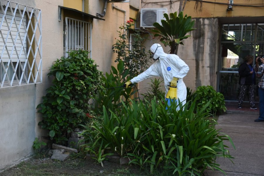EN ALERTA. Rosario atraviesa el momento del a&ntilde;o con m&aacute;s mosquitos transmisores del dengue.