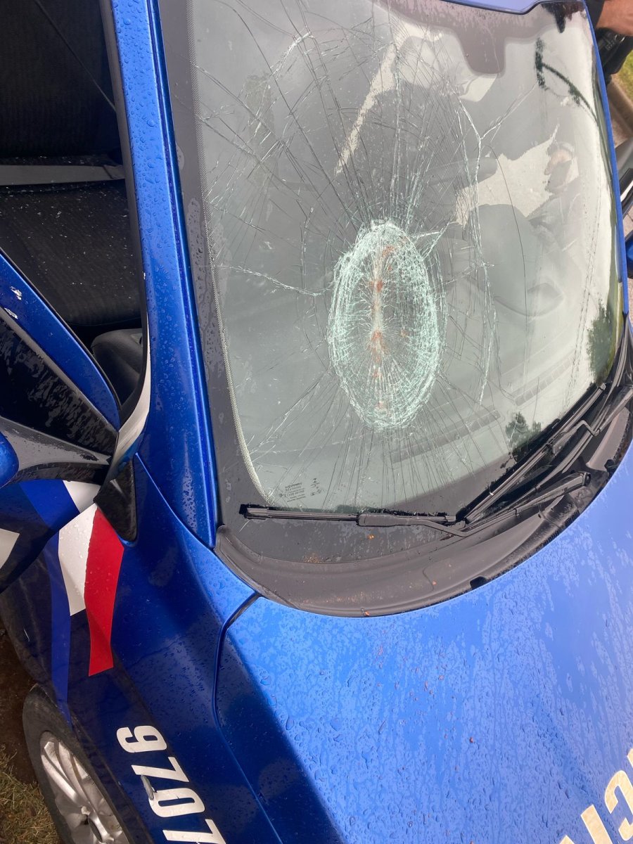 M&oacute;viles policiales resultaron da&ntilde;ados por las piedras arrojadas.