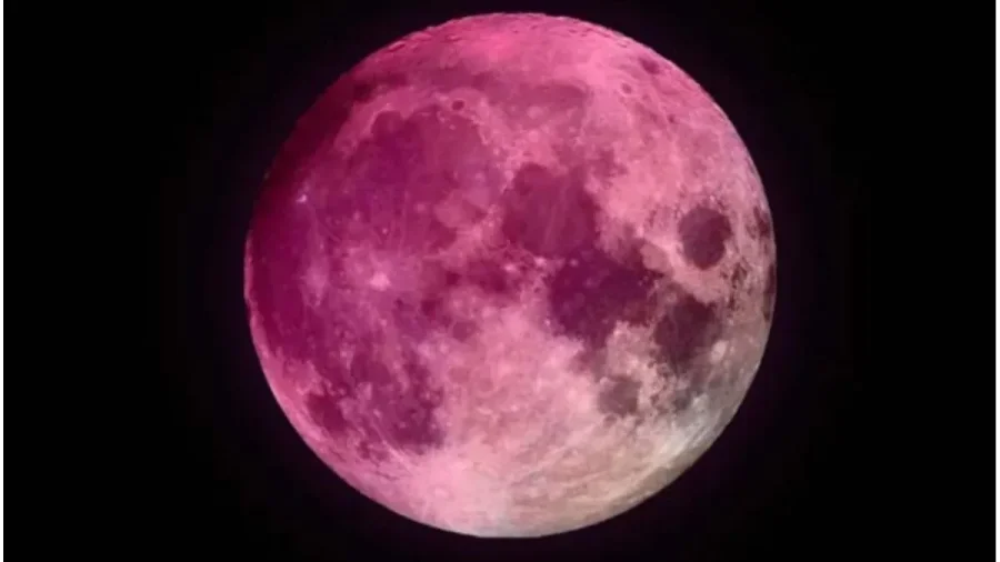 LUNA ROSA DE ABRIL. En pocos d&iacute;as, nuestro sat&eacute;lite natural unatonalidad que no ser&aacute; la que su nombre promete, sino un reflejo de la tradici&oacute;n y las estaciones del hemisferio norte.