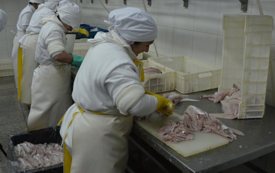 Recomendaciones para la compra, el almacenamiento y la preparaci&oacute;n segura del pescado.