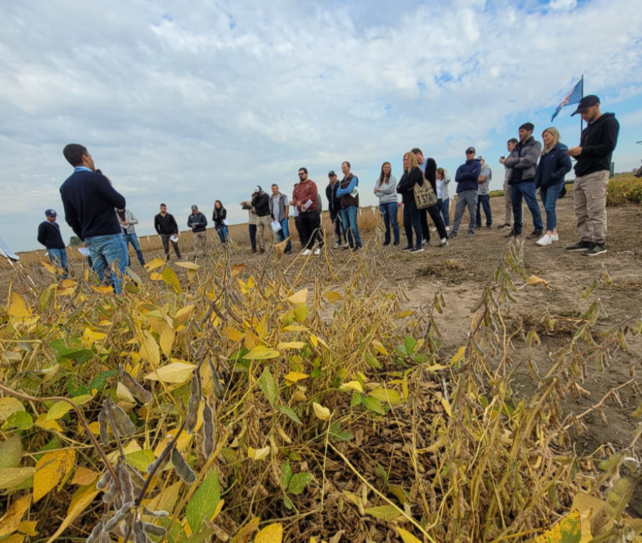 A CAMPO. Productores y t&eacute;cnicos intercambiaron conocimientos con la soja como protagonista.