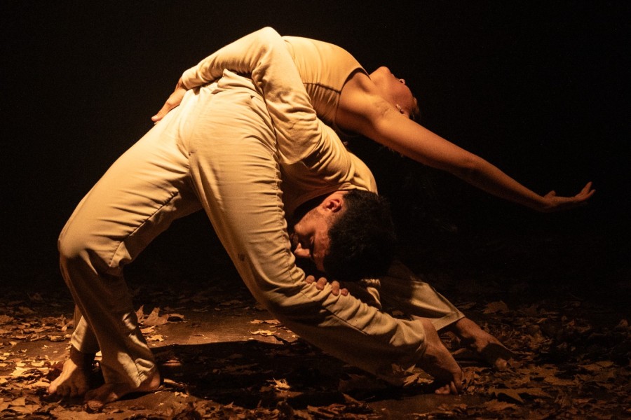 Danza en EMAE.