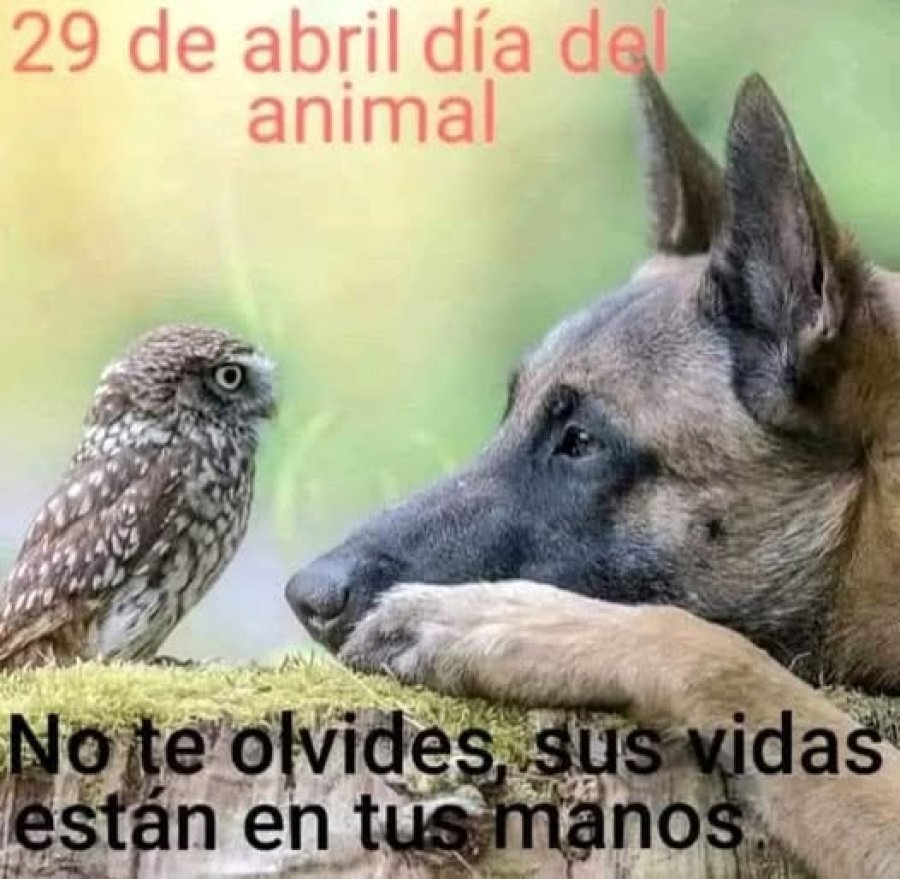 As&iacute; se recuerda la efem&eacute;ride.
