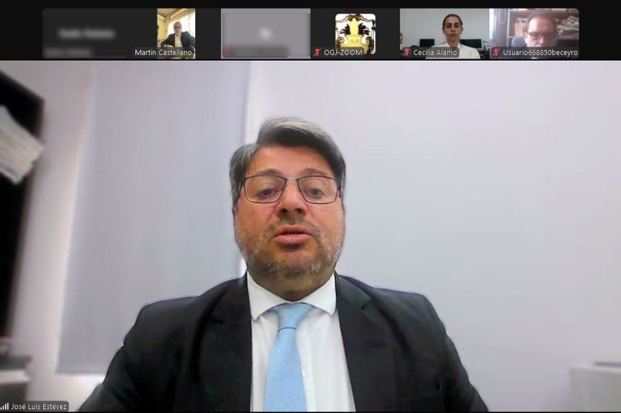 El juez Jos&eacute; Luis Est&eacute;vez al dar lectura a la sentencia durante una audiencia virtual.