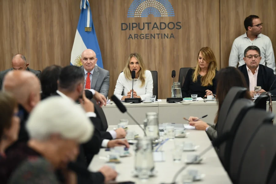 Diputados opositores buscan acuerdos sobre la extensi&oacute;n de la moratoria previsional.