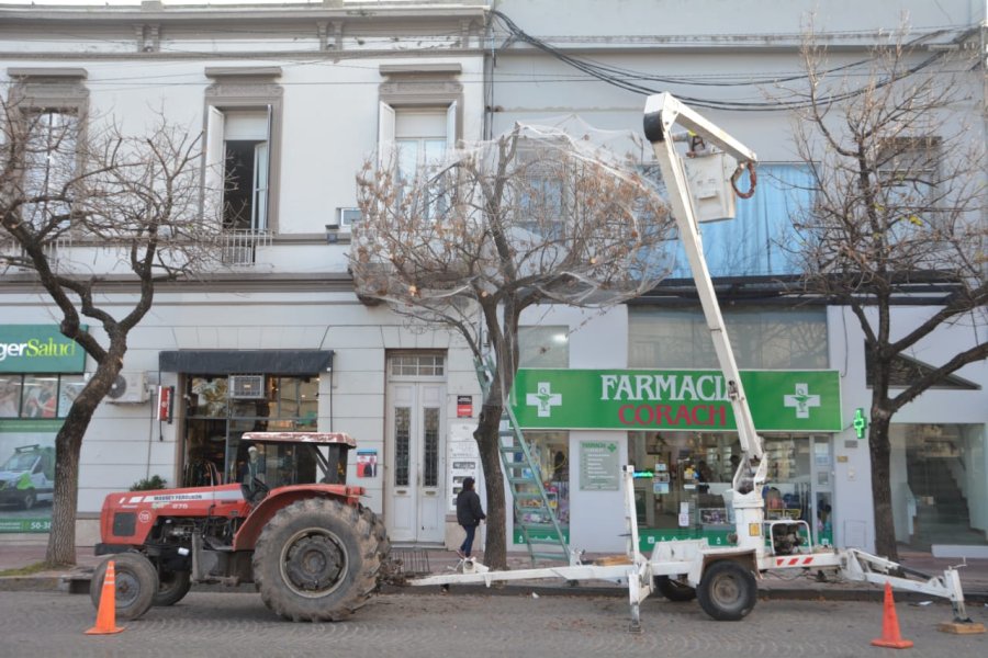 INTERVENCION. El gobierno municipal llev&oacute; adelante tareas de mantenimiento con el objetivo de controlar la presencia de aves en el lugar.