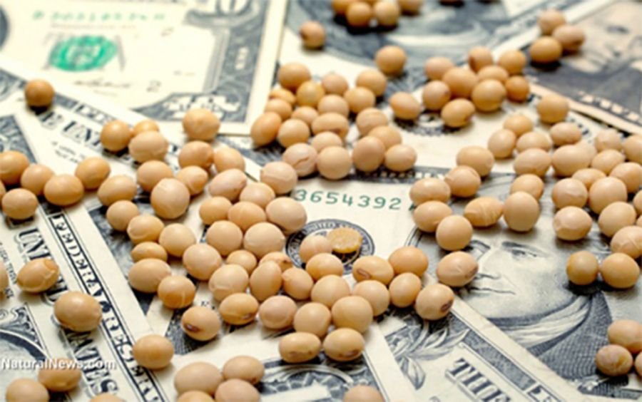 DOLAR. la agroindustria aport&oacute; el 92% de las divisas que ingresaron al pa&iacute;s en los &uacute;ltimos cinco a&ntilde;os.
