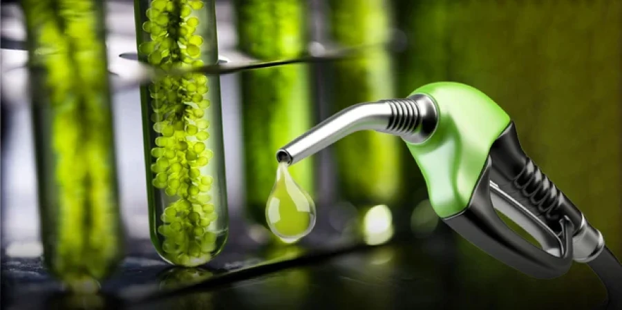 El Gobierno autoriz&oacute; una nueva suba de los biocombustibles para mayo.