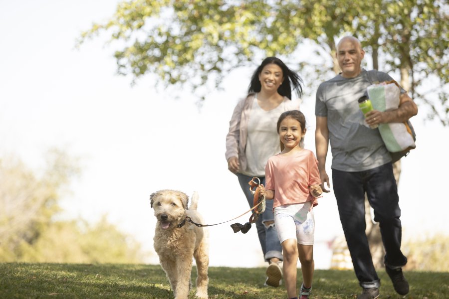 Se celebra hoy el D&iacute;a internacional de la familia.
