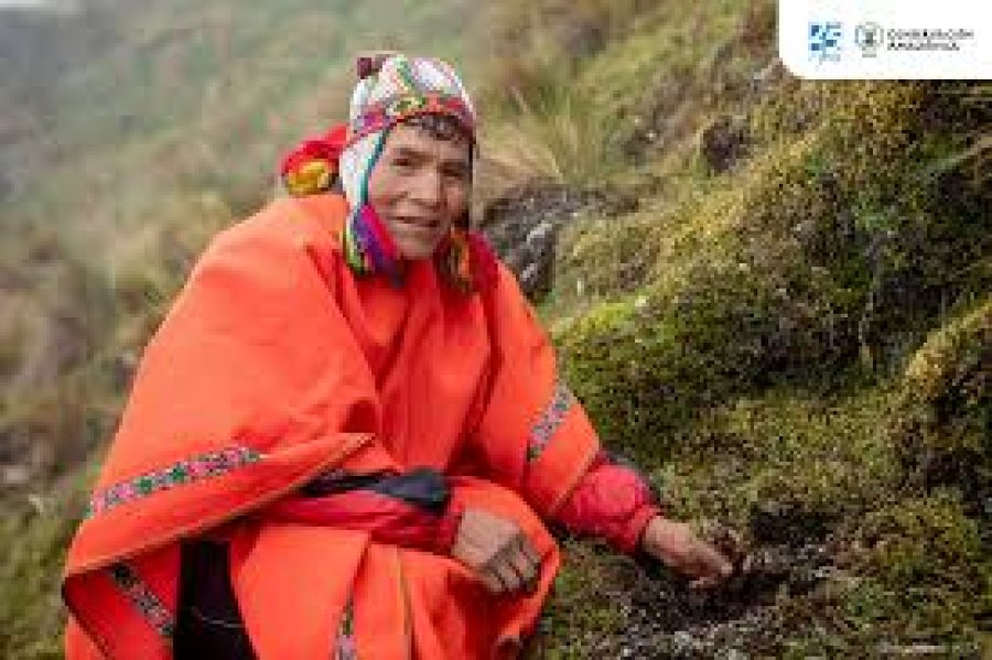 Mujer andina que trabaja en la restauraci&oacute;n de bosques.
