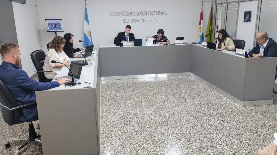 Los ediles locales durante una de sus sesiones.