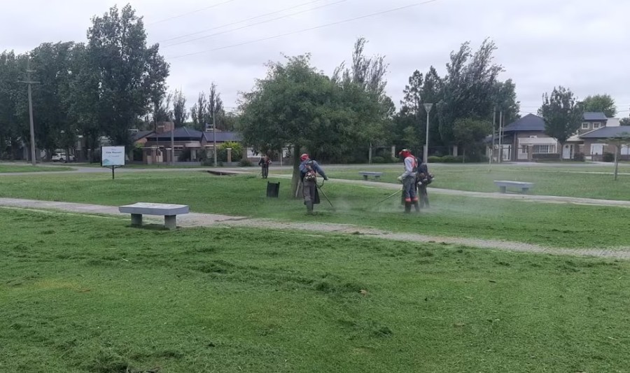 Contin&uacute;a el plan de desmalezado en la ciudad.