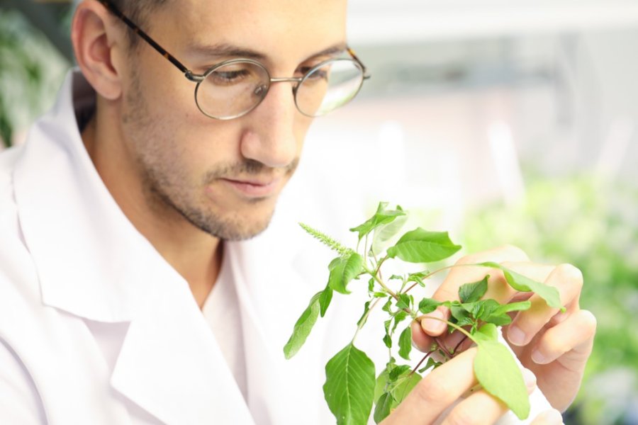 "Estamos convencidos de que tiene el potencial de liderar una nueva categor&iacute;a tecnol&oacute;gica en el agro&rdquo;, se&ntilde;al&oacute; Nicol&aacute;s Tognalli, Managing Partner de CITES.