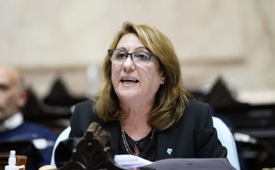 M&oacute;nica Fein diputada nacional por el Partido Socialista de Santa Fe.