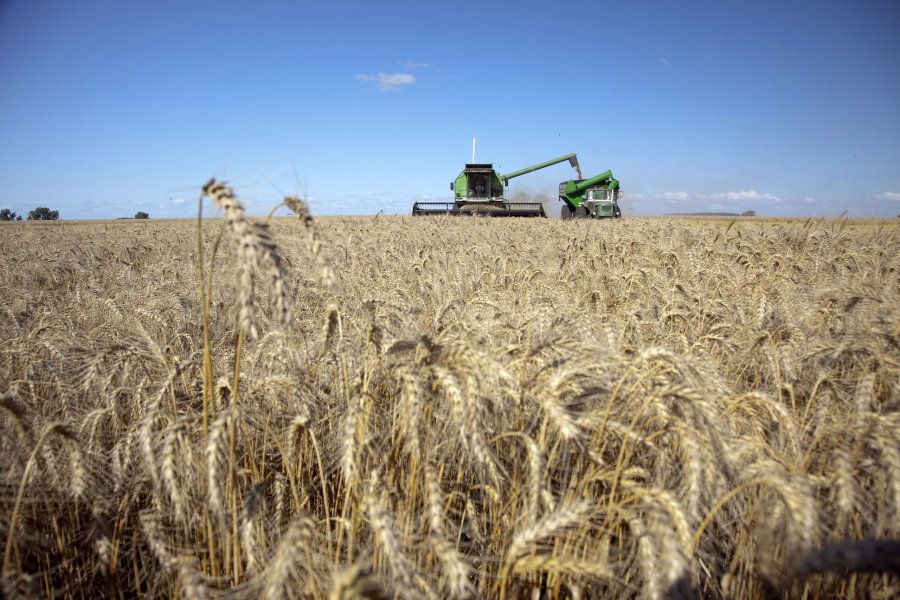 INCENTIVO. El Gobierno hizo un gui&ntilde;o, pero los productores y la agroindustria siguen reclamando.