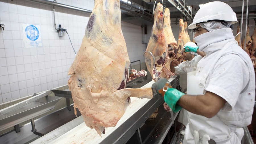 CRECIMIENTO. Las exportaciones de carne vacuna vienen firmes en 2025.
