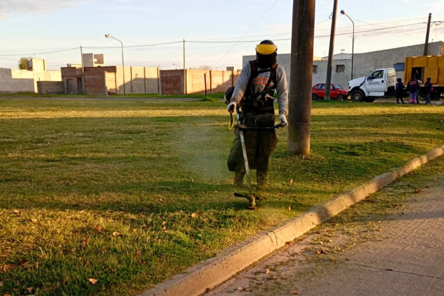 El mantenimiento de &aacute;reas verdes, lotes, veredas y patios es clave para una ciudad m&aacute;s limpia y saludable.