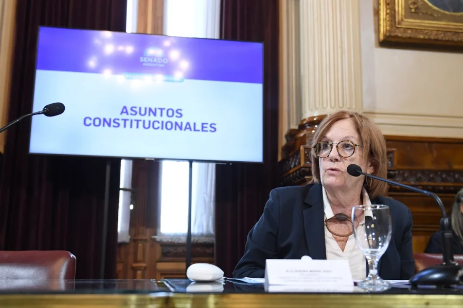 La senadora cordobesa Alejandra Vigo preside la Comisi&oacute;n de Asuntos Constitucionales de la C&aacute;mara alta.