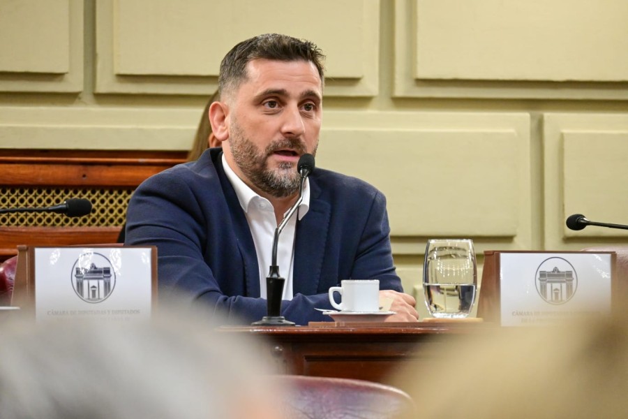Diputado provincial Mariano Cuvertino.