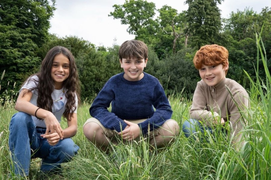 Los tres elegidos para la serie de Harry Potter.