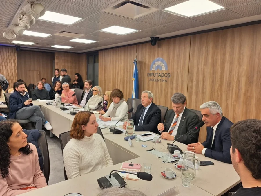Los bloques opositores de la C&aacute;mara de Diputados impulsar&aacute;n un proyecto de financiamiento universitario.