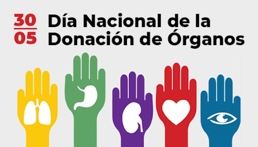 CONCIENTIZACION. En el D&iacute;a Nacional de la Donaci&oacute;n de &Oacute;rganos se reconoce a todos los donantes que, con su gesto solidario, permiten que cada a&ntilde;o miles de personas recuperen su salud o salven su vida