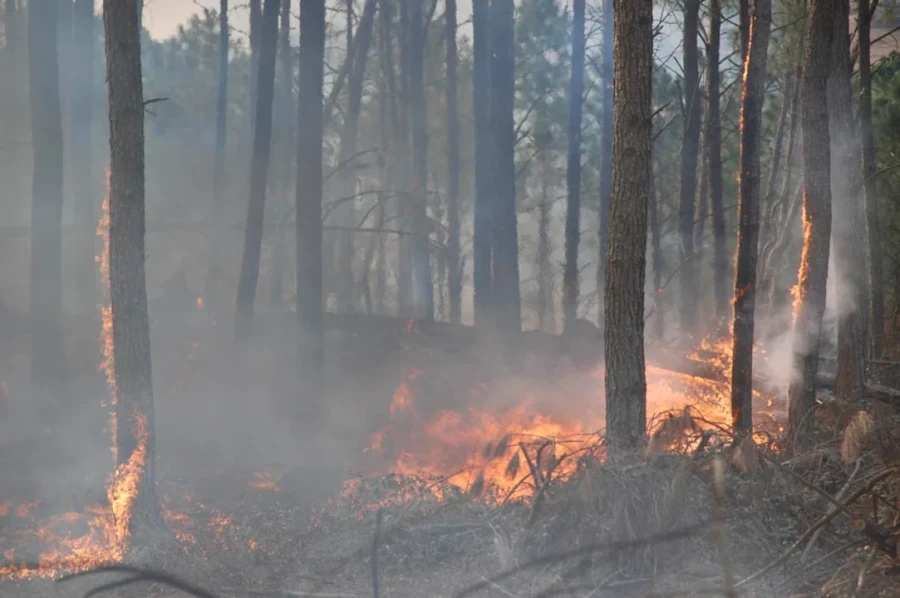 C&oacute;rdoba declara el "estado de alerta ambiental" por riesgo de incendios.