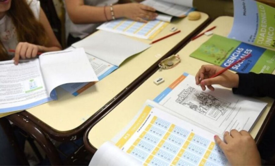 PREOCUPANTE. Alarma por los niveles de alfabetizaci&oacute;n en muchos estudiantes argentinos.