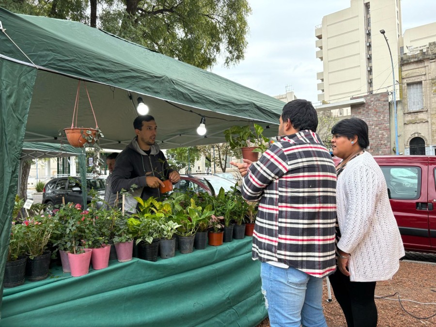 Trece emprendedores locales verdes ser&aacute;n protagonistas de una jornada especial.