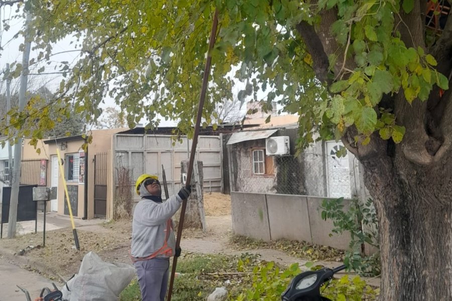 Contin&uacute;a el programa de higiene urbana y mantenimiento del espacio p&uacute;blico.
