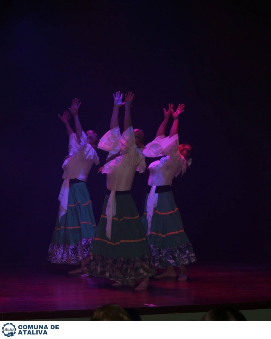 Una de las coreograf&iacute;as exaltando el pabell&oacute;n patrio.