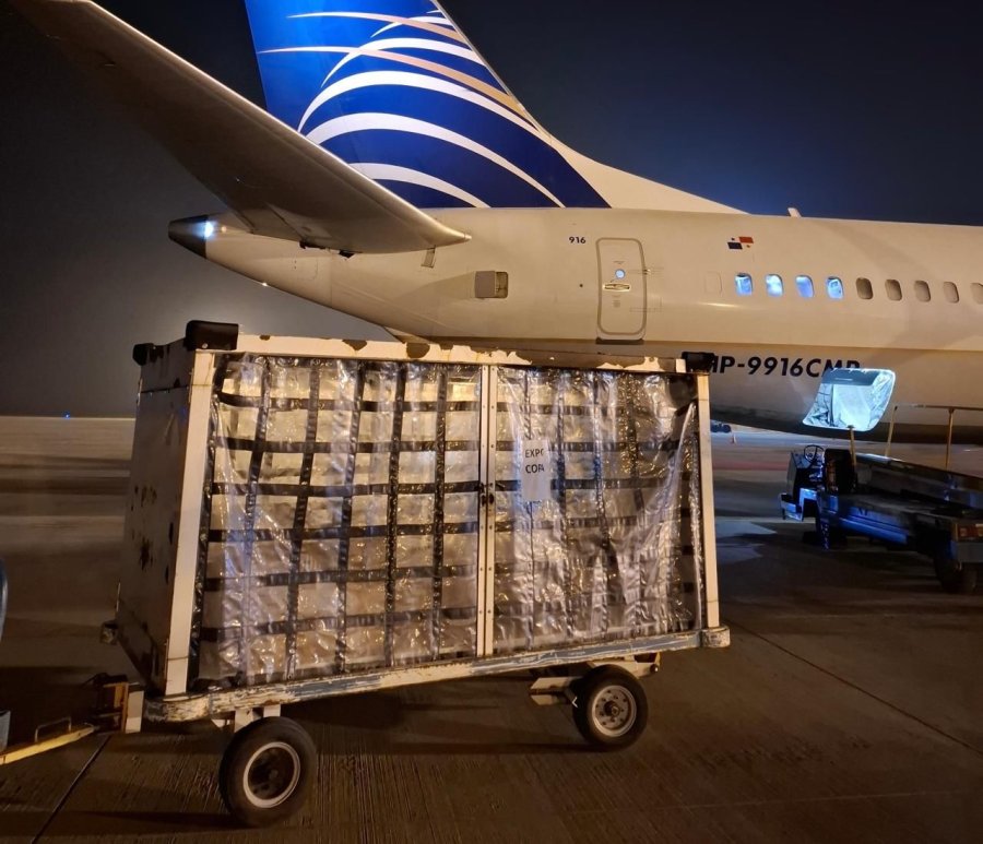 Se busca abrir nuevos mercados para las econom&iacute;as regionales.