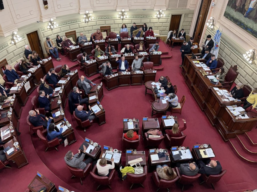 La C&aacute;mara de Diputados sancion&oacute; la pr&oacute;rroga de la ley de emergencia.