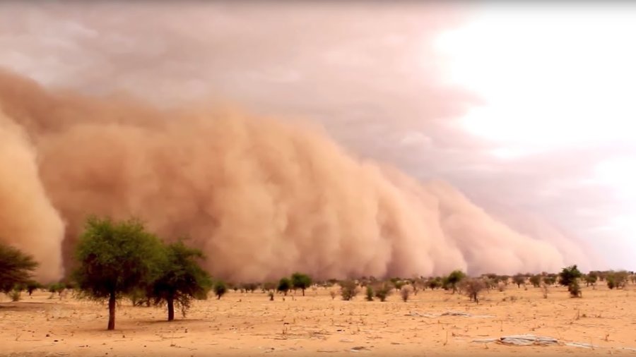 Las tormentas de arena y polvo son fen&oacute;menos meteorol&oacute;gicos generados por la acci&oacute;n del viento, originando el desplazamiento de grandes cantidades de arena y polvo en suelos secos y arenosos .