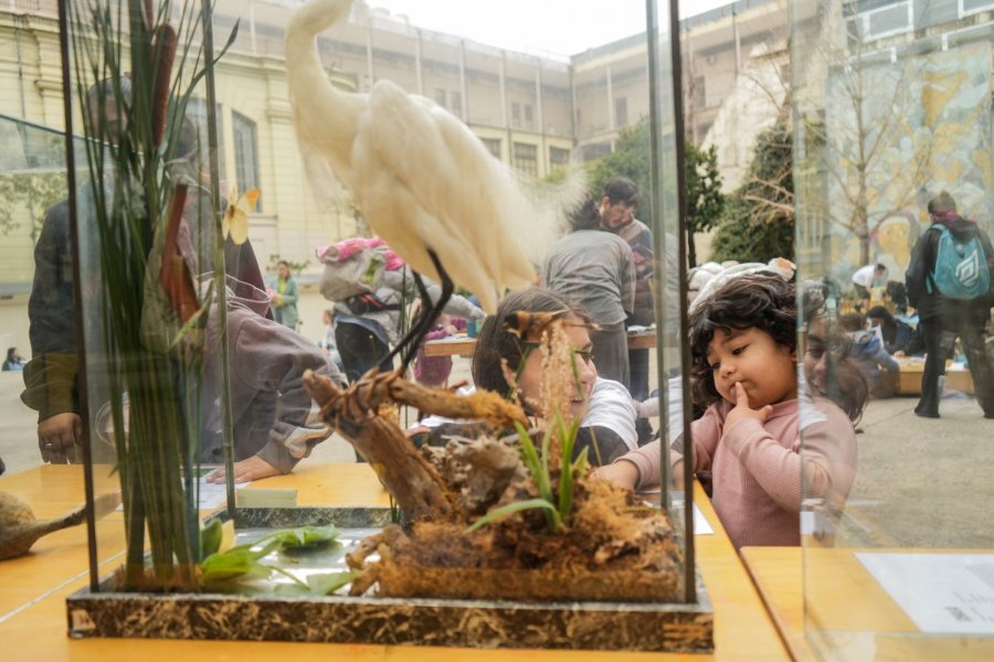 ACTIVIDADES. Salas, espacios p&uacute;blicos, museos y centros culturales de pueblos y ciudades de la provincia son escenario para la programaci&oacute;n que culminar&aacute; el pr&oacute;ximo domingo.