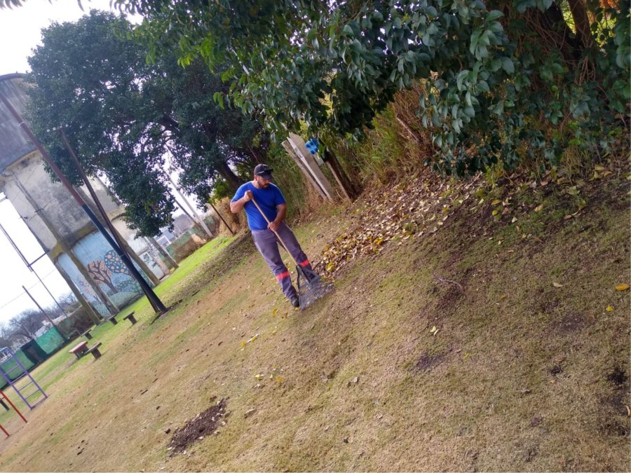 RECOLECCION DE HOJAS.  Los equipos municipales contin&uacute;an realizando trabajos de barrido manual y mec&aacute;nico en distintos sectores de la ciudad.