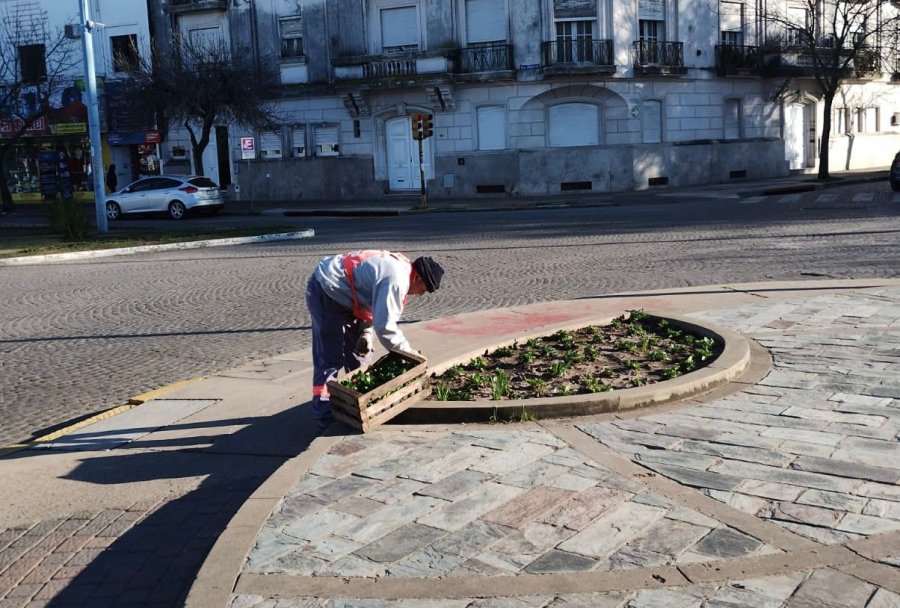 PLANTINES FLORALES. El gobierno local contin&uacute;a embellecimiento de los espacios p&uacute;blicos de la ciudad.