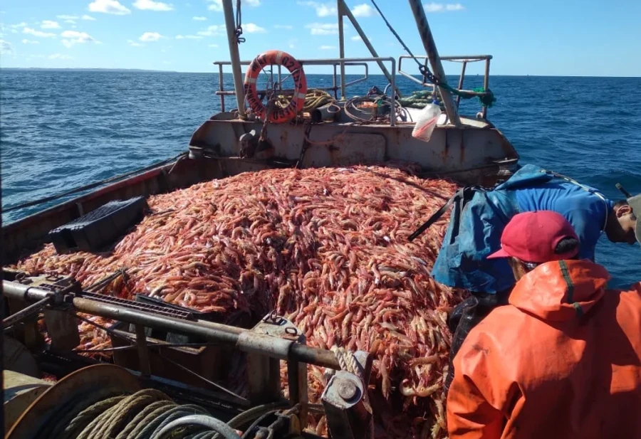 El conflicto por la zafra del langostino sum&oacute; nuevos episodios de alta tensi&oacute;n.
